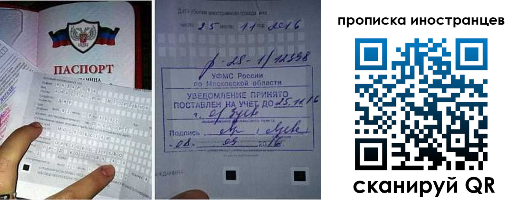 временная регистрация купить в Архангельской области